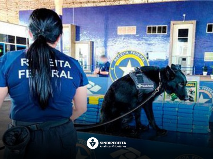 Apreensão de 85,2 kg de cocaína na Ponte Internacional da Amizade