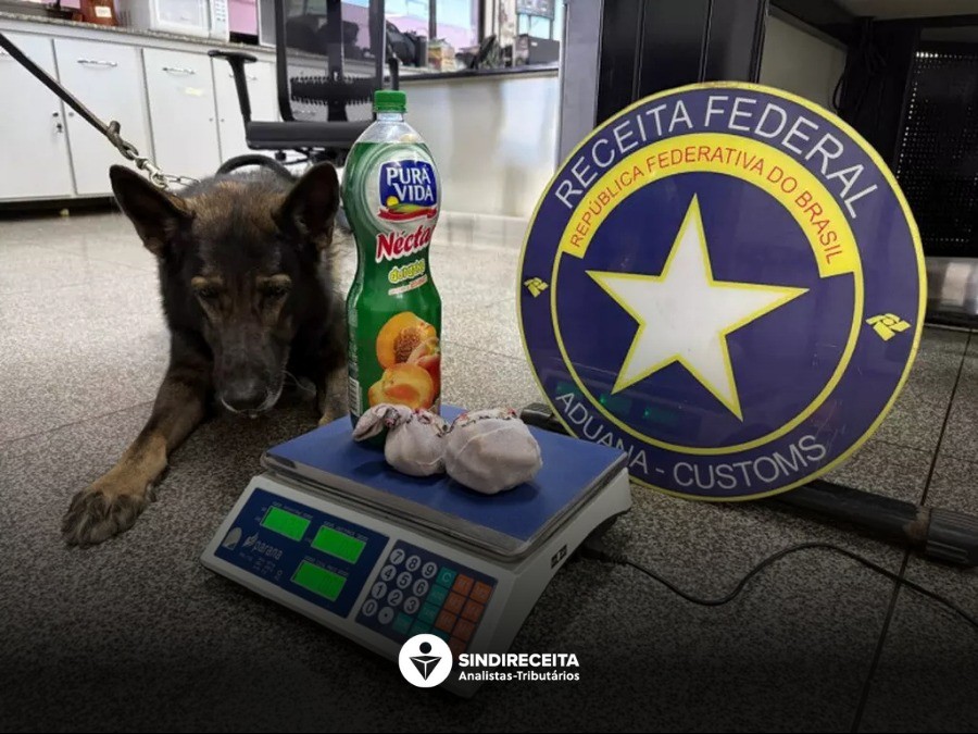 RFB apreende 10 fetos de lhama, 2 kg de cocaína e 1 tonelada de mercadoria ilegal