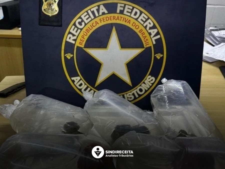 Receita Federal apreende corais do Oceano Pacífico em aeroporto do Ceará