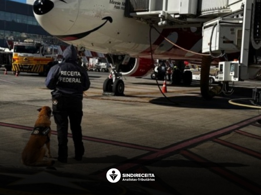Receita Federal apreende 270 kg de tabaco no Aeroporto de Viracopos