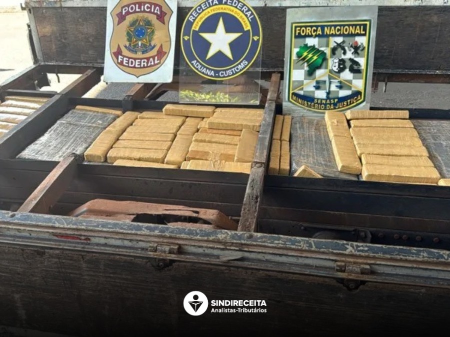 310,20 kg de substância análoga a maconha são apreendidos