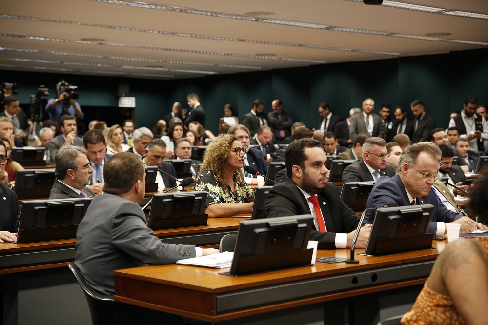 Audi ncia CCJ C mara dos Deputados Sindireceita 6