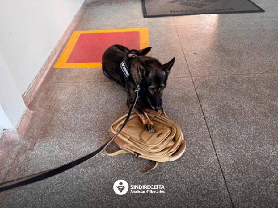 Receita Federal intercepta bolivianos com 3,5 kg de pasta base em Corumbá (MS)
